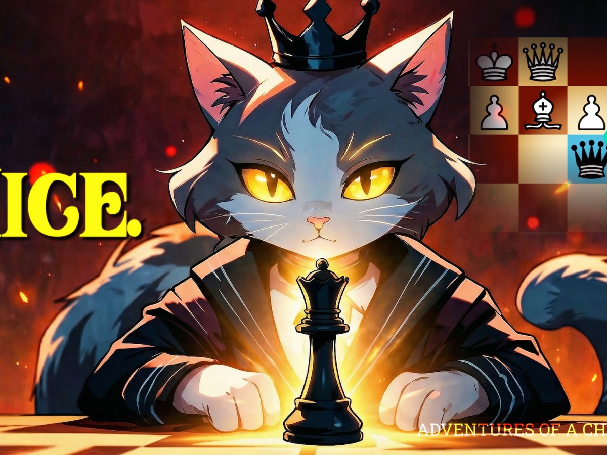 Englund Gambit | Delicious Queen Sacrifice gives SMUG SATISFACTION! 😏